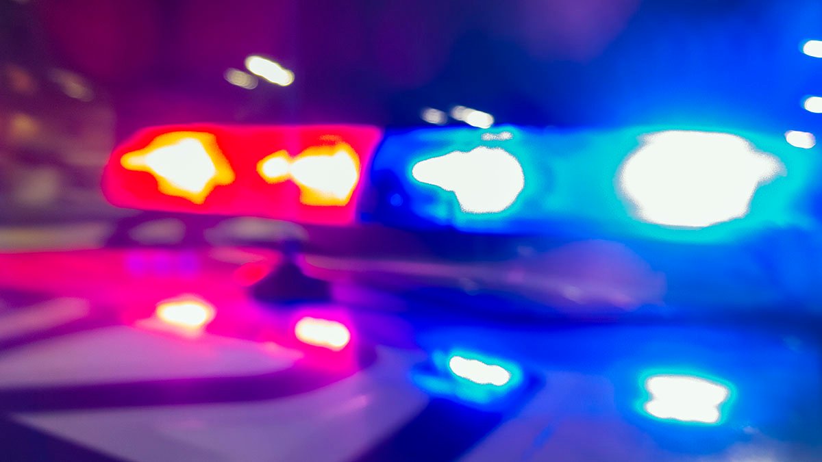 Man, 21, Arrested a Week After 3 Killed at Georgia Gun Range – NBC 7 San Diego - Vimarsana News