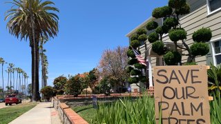 A shot from Newport Avenue in Ocean Beach