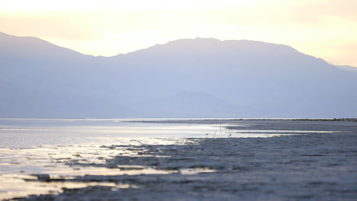 Salton Sea May Reduce Earthquakes As They Shrink – NBC7 San Diego