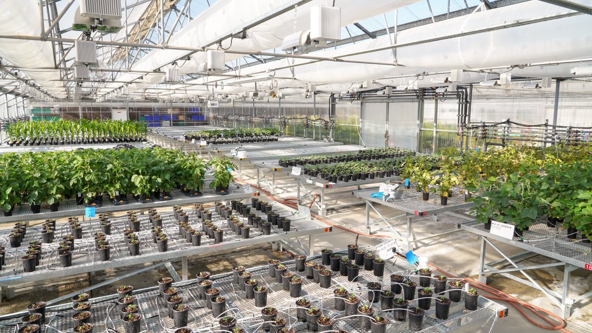 Joyn Bio Aims to Solve the World's Fertilizer Problem With Microbes - Vimarsana News