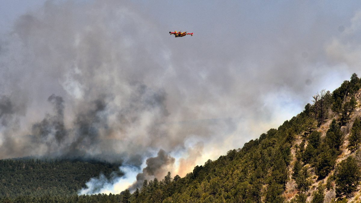 Biden Declares Disaster in New Mexico for Largest Wildfire in US – NBC 7 San Diego - Vimarsana News