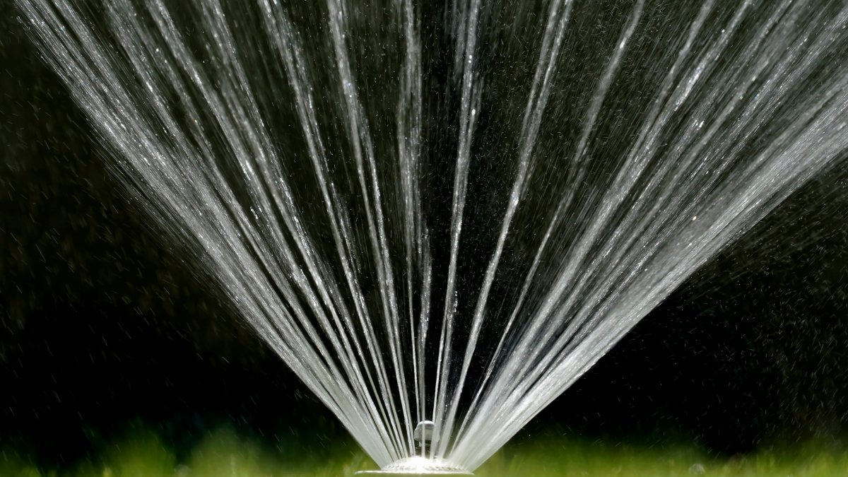 California Cuts Grass Watering Down as Drought Dries West - Vimarsana News