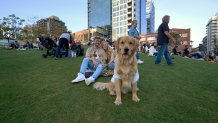 A family of three -- including one stylish golden retriever rocking a jersey -- enjoy a Padres game on April 18, 2022 during Petco Park's Bark at the Park event.