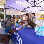 A Petco employee offers a Labrador retriever a refreshing cup of whipped cream on April 18, 2022 during Petco Park's Bark at the Park Padres game.