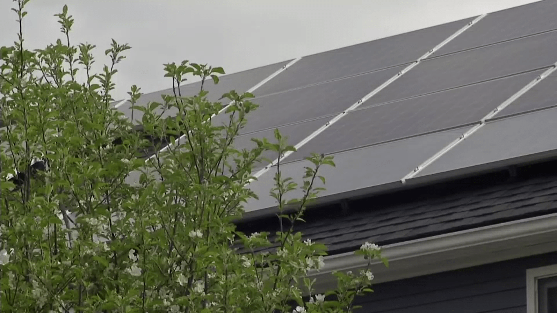 San Diego's gray skies impacting solar power production, industry expert says - Vimarsana News