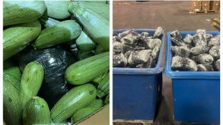 U.S. Customs and Border Protection find roughly $1.2 million worth of methamphetamine and $39,000 worth of cocaine in a shipment of squash at the Otay Mesa Cargo facility on April 28, 2022.