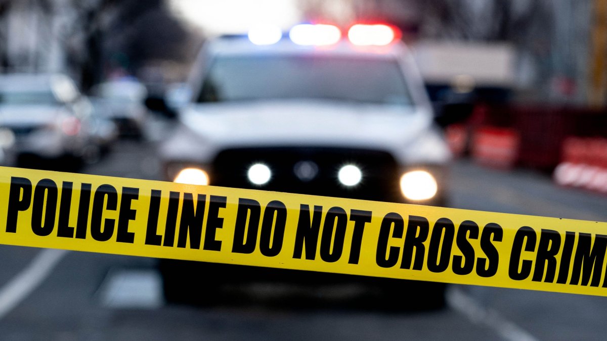 Newborn Found in Freezing Woods Day After Christmas Is Recovering – NBC 7 San Diego - Vimarsana News