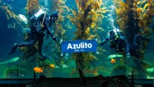 Birch Aquarium at Scripps | Photo: Jordann Tomasek