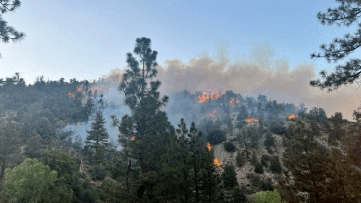 Fire Burns Near Angeles National Forest