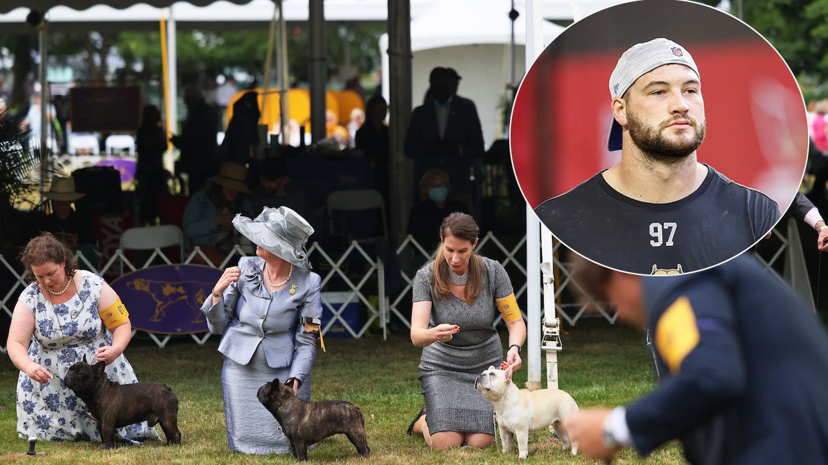 Westminster Dog Show Gets 4 Finalists, and One Has NFL Ties – NBC 7 San Diego - Vimarsana News
