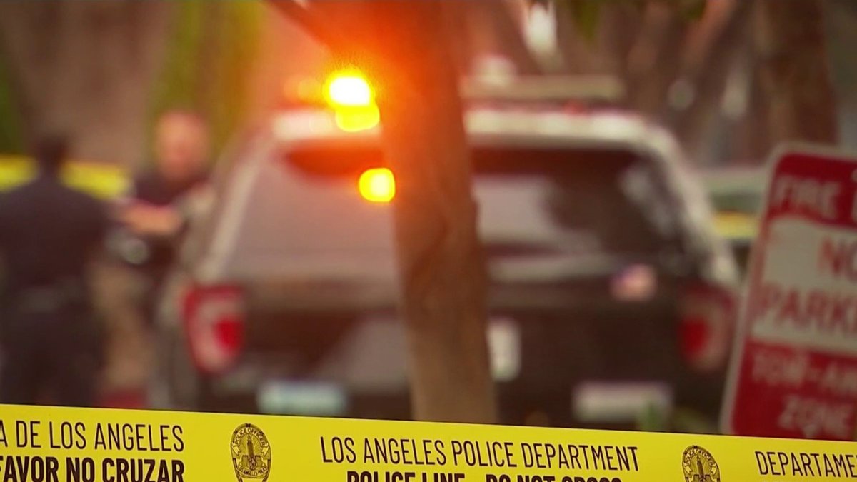 LAPD seeks man suspected of killing puppy – NBC 7 San Diego - Vimarsana News