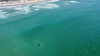 Juvenile Great White Sharks Shift South to Torrey Pines, Solana Beach; Not Interested in Humans: Researchers