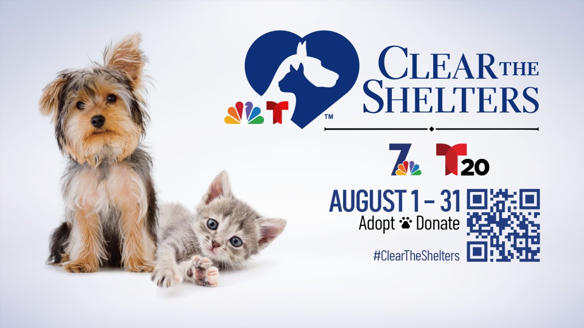 Clear the Shelters: What San Diego Needs to Know About Animal Adoption Drive – NBC 7 San Diego - Vimarsana News