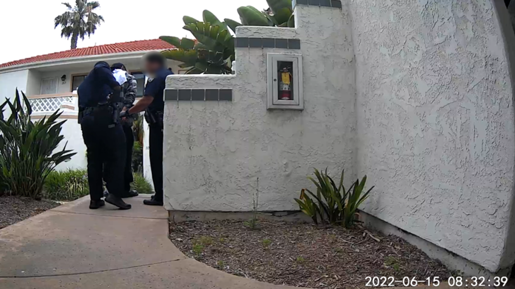 A neighbor's security camera captured police arresting the suspect on the morning of June 15.