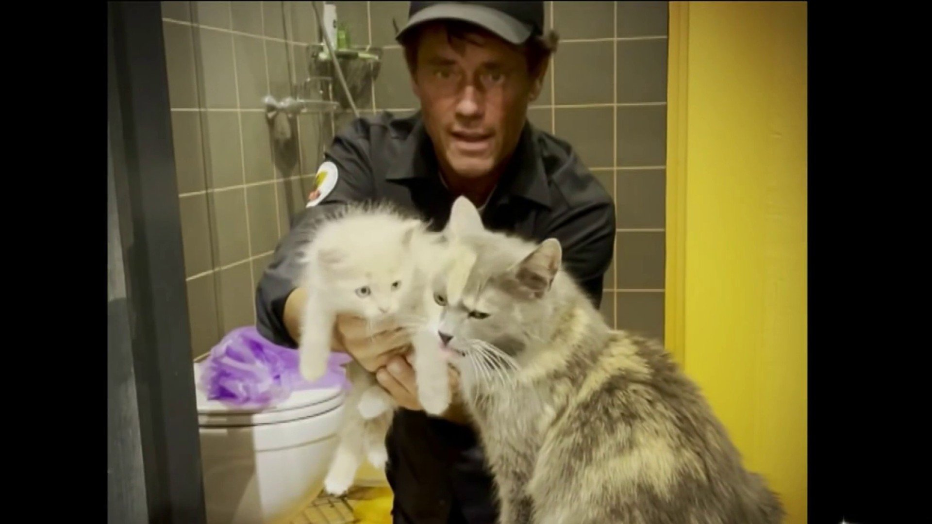 Bay Area Man, Group Rescue Ukrainian Pets With Drone - Vimarsana News