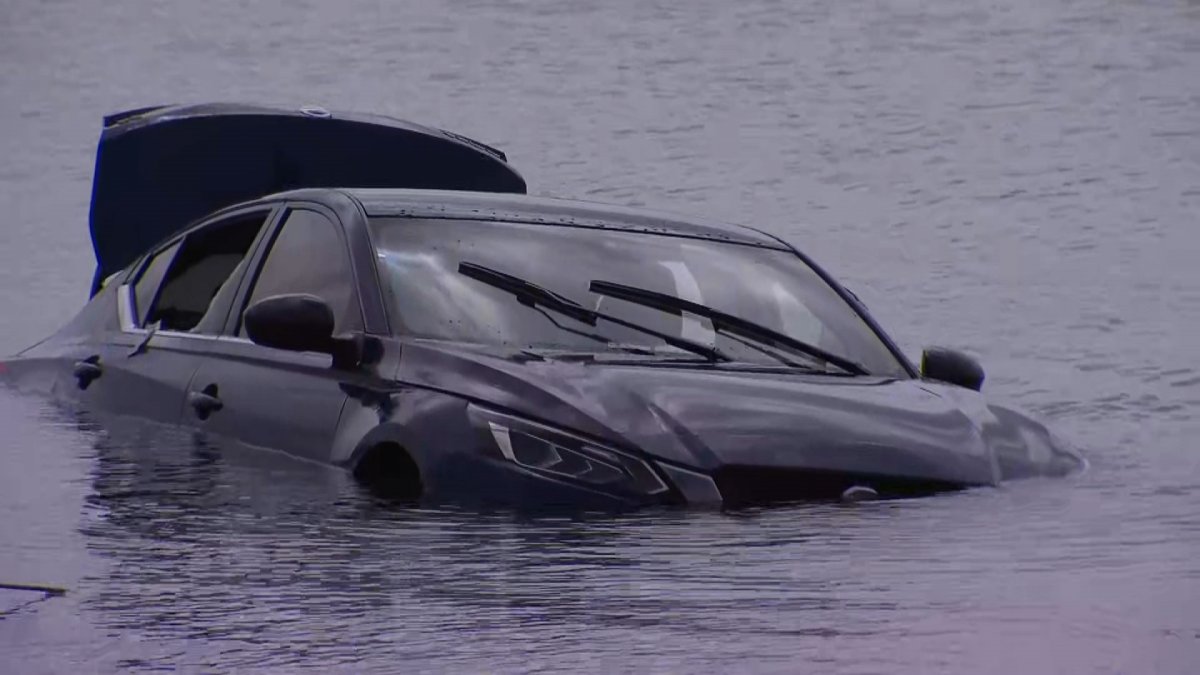 Car Submerged in Mission Bay, Man Swims Safely to Shore - Vimarsana News