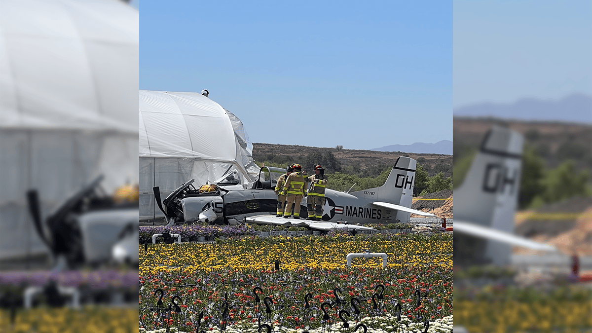 Plane Passenger Killed in Crash at Fallbrook Flower Field ID'd - Vimarsana News