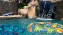 Floats are seen in a backyard pool for rent in the Point Loma neighborhood of San Diego, July 28, 2022.