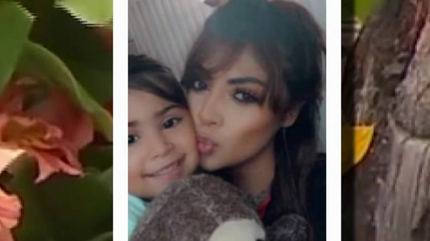 Family Mourns Mother After Fatal Car Crash in Coronado
