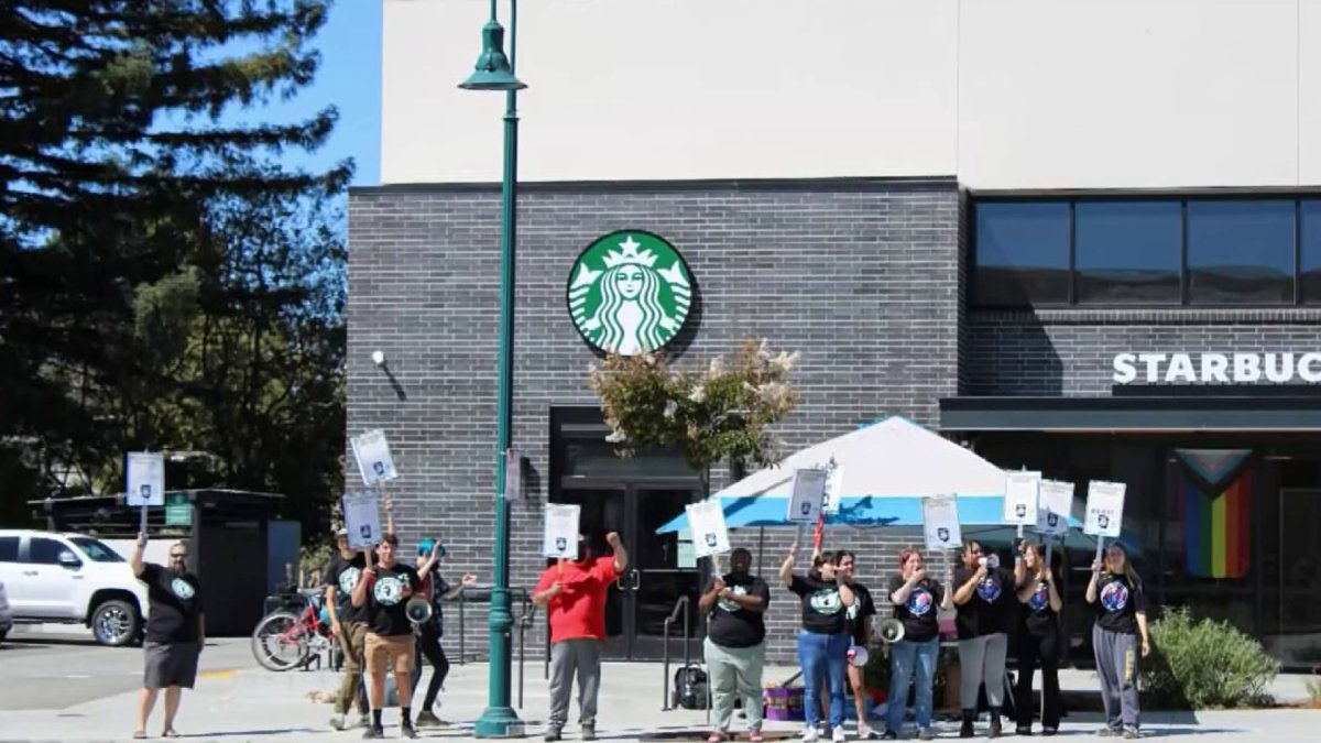 Santa Cruz Starbucks Workers Go on Strike - Vimarsana News