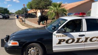 FILE - Tucson police vehicle.