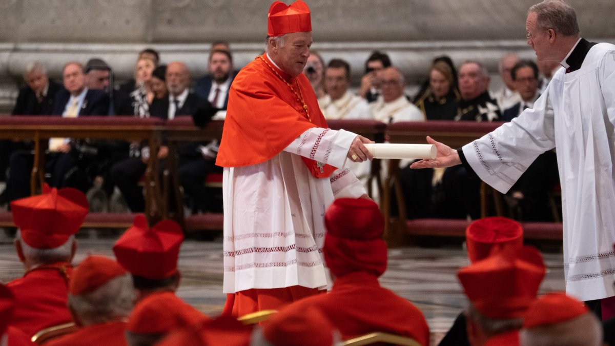 San Diego Bishop Robert McElroy Installed as Cardinal by Pope Francis - Vimarsana News