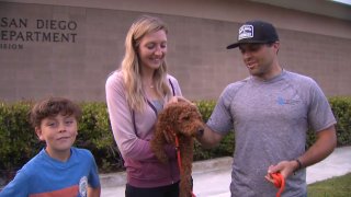 Chancho, a miniature Goldendoodle, reunited with the Grillo family on Aug. 12, 2022.  