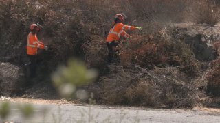 Two men in orange clear brush alongside a road