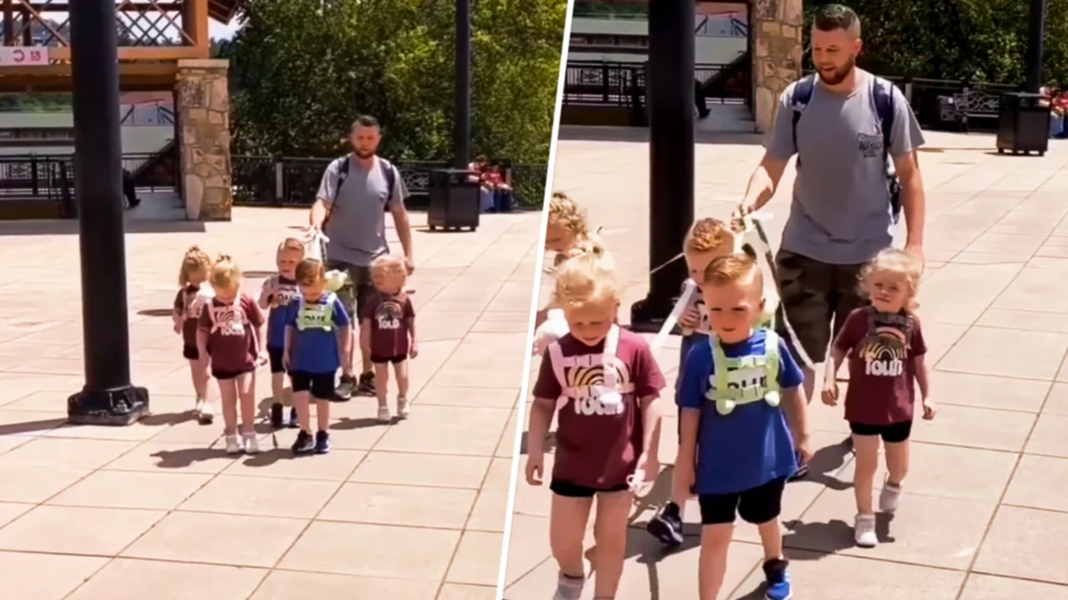 Dad Gets Shamed for Using Leash With 5-Year-Old Quintuplets – NBC 7 San Diego - Vimarsana News