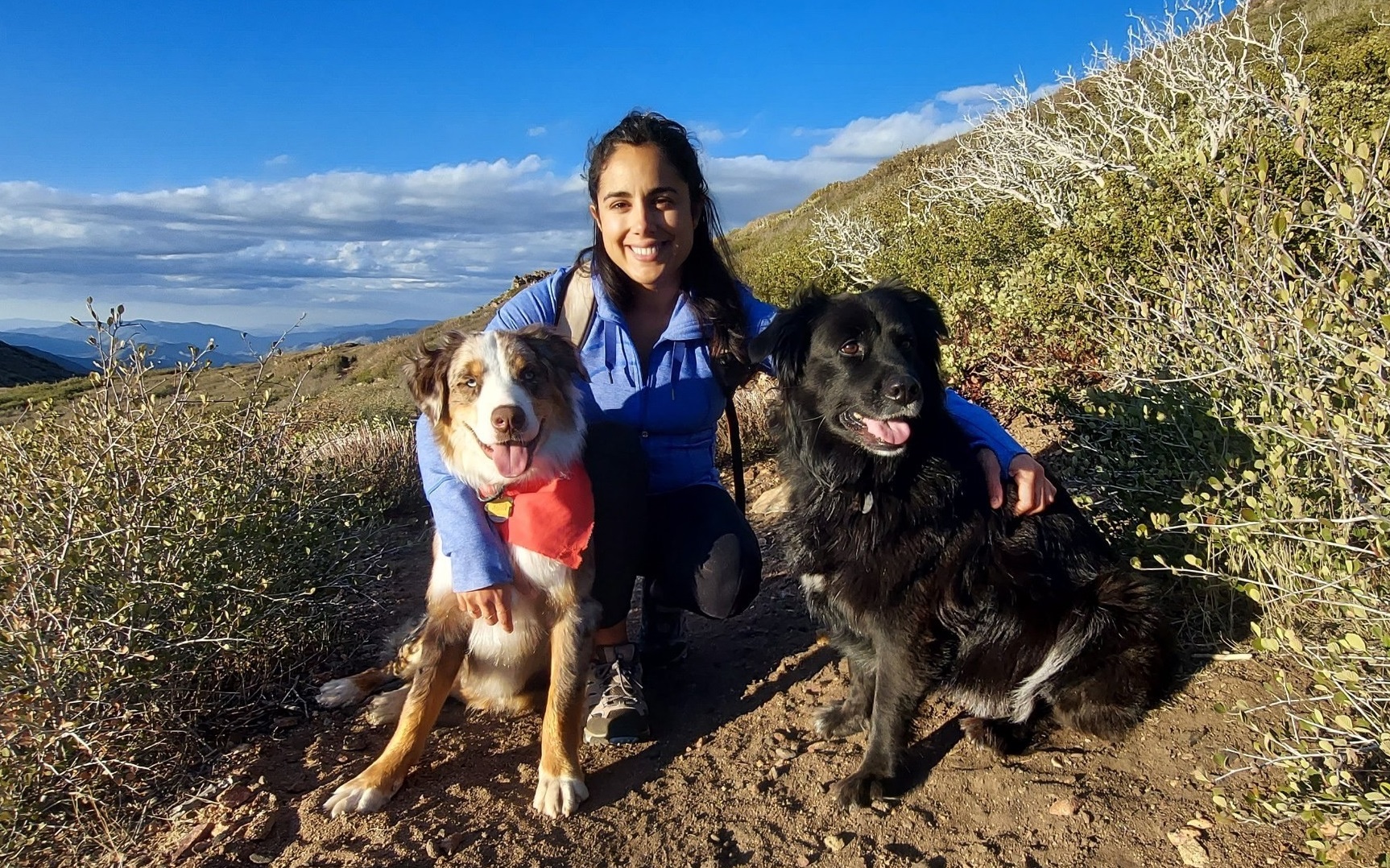 San Diego Zoo's Names Tamandua Pup After Padres Super Star – NBC 7