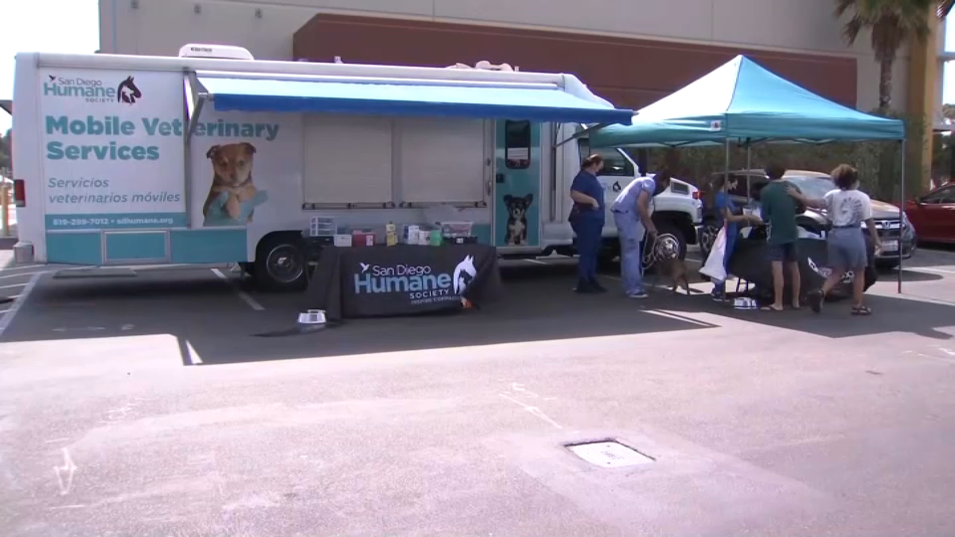 Low Cost Pet Care Offered By San Diego Humane Society NBC 7 San Diego   San Diego Humane Society Mobile Pet Clinic 