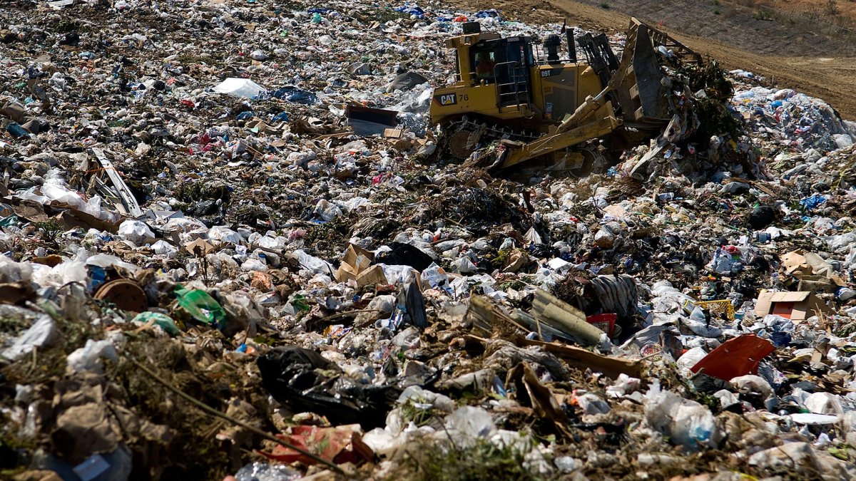 Costco and Albertsons Are Using This Tech Startup to Reduce Waste and Lower Carbon Emissions - Vimarsana News
