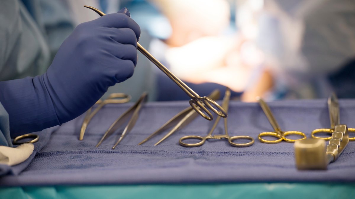 US Counts Millionth Organ Transplant While Pushing for More - Vimarsana News
