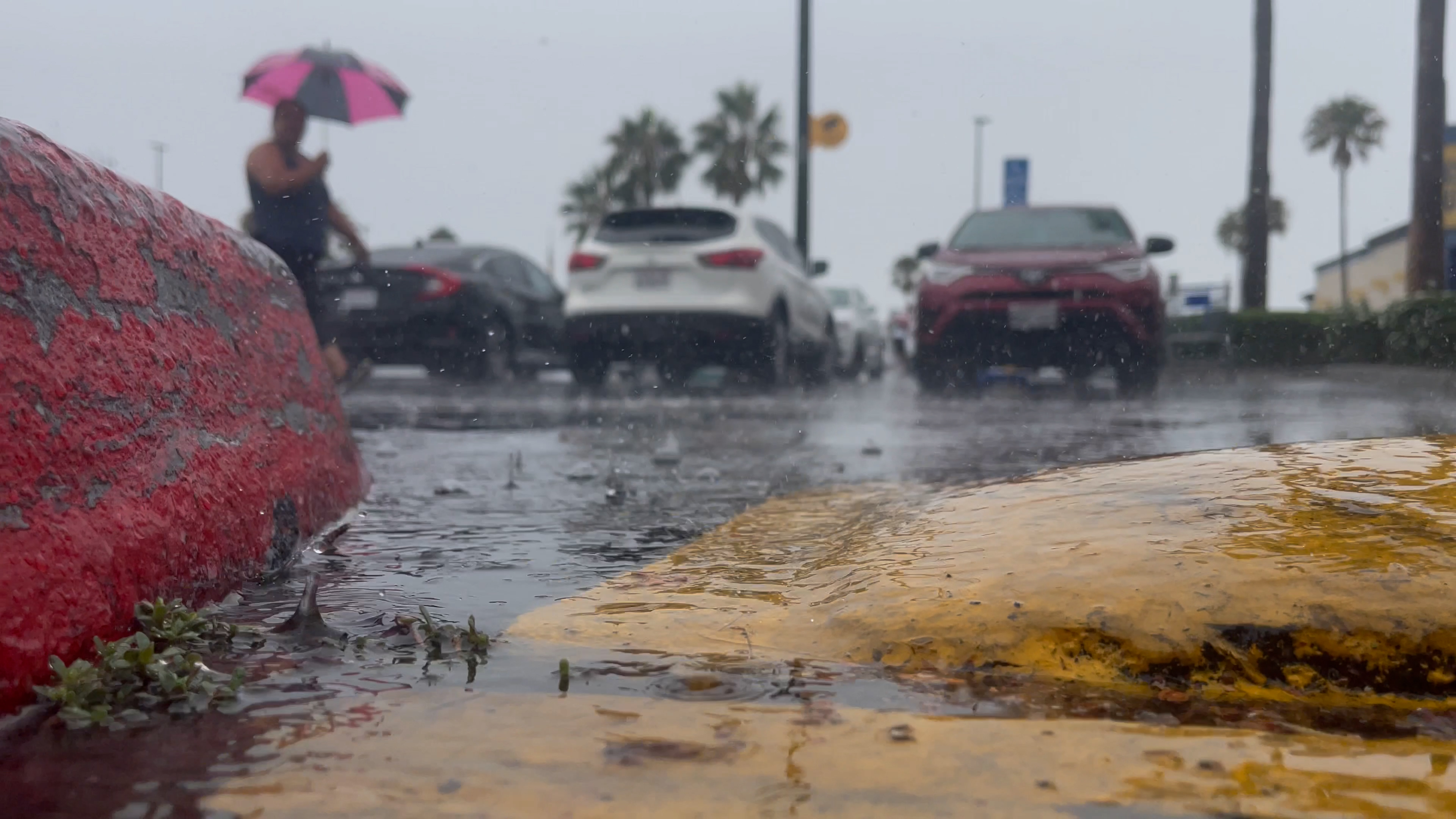 PHOTOS Tropical Storm Kay Brings Heavy Rain, Strong Winds to San Diego