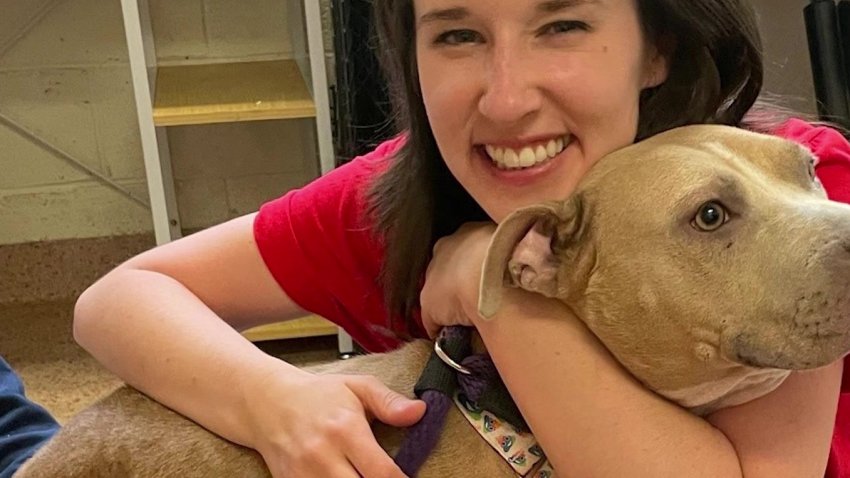 Clear The Shelters Helped More than 160k Pets in 2022!