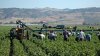 White House reverses policy that paused immigration enforcement at farms, hotels