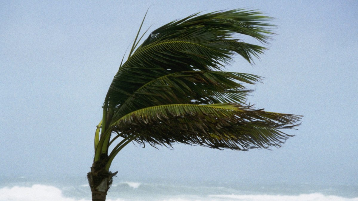 Hurricane Kay to Bring Rain, Winds to San Diego County – NBC 7 San Diego - Vimarsana News