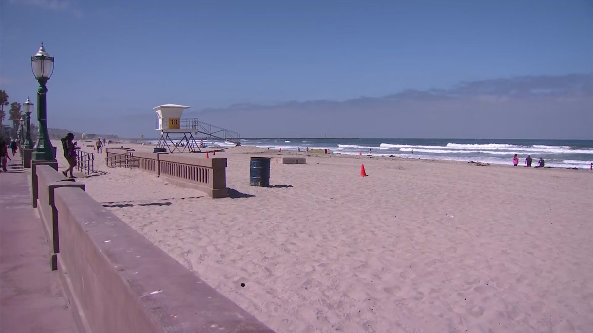 2 injured by sea lions on same day in Mission Beach area of San Diego