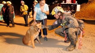 Cesar receives some affection from a fire-rescue team member Tuesday Sept. 20, 2022.