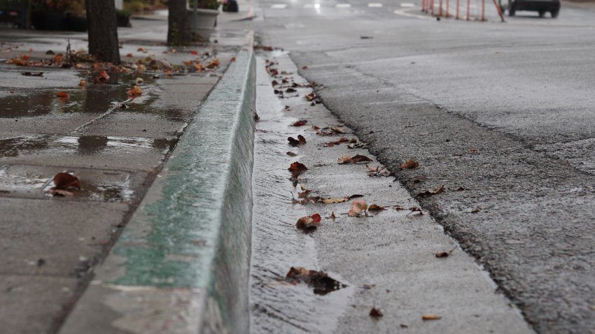 A trail of water and fallen leaves are seen on the ground in Kensington during a brief period of rain on Friday, Sept. 9, 2022.