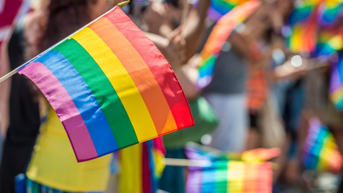 National Coming Out Day 2023: What is it and how to celebrate – NBC 7 San Diego - Vimarsana News