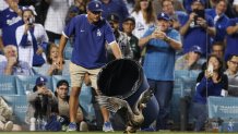 LOS ANGELES, CA - OCTOBER 12: A Los Angeles Dodgers grounds crew member attempts to remove a bird from the field in the eighth inning during the game between the San Diego Padres and the Los Angeles Dodgers at Dodgers Stadium on Wednesday, October 12, 2022 in Los Angeles, California. (Photo by Rob Leiter/MLB Photos via Getty Images)