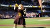 How to watch the Padres vs. Brewers NL Division Playoff series