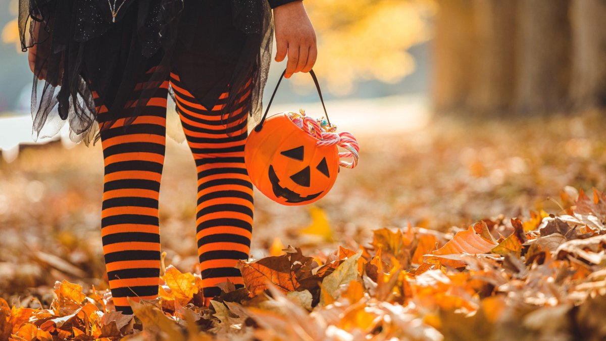 Halloween Events in San Diego County This Year NBC 7 San Diego