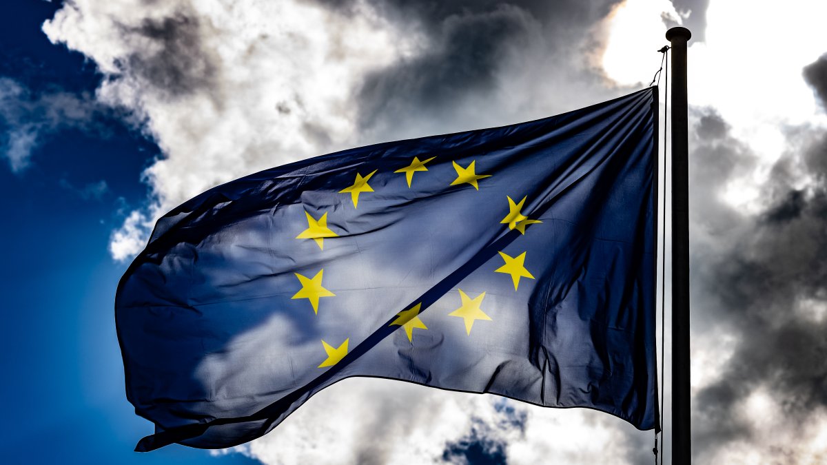 EU Approves 2035. Ban on New Gas and Diesel Cars – NBC 7 San Diego - Vimarsana News