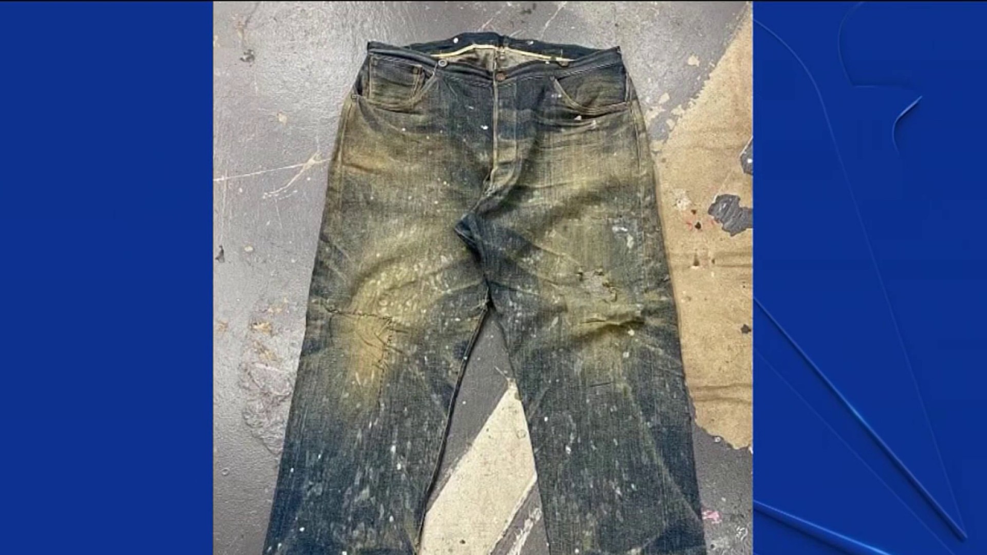 Pair of Levi's Jeans From the 1880s Sold for $76,000 – NBC Bay Area