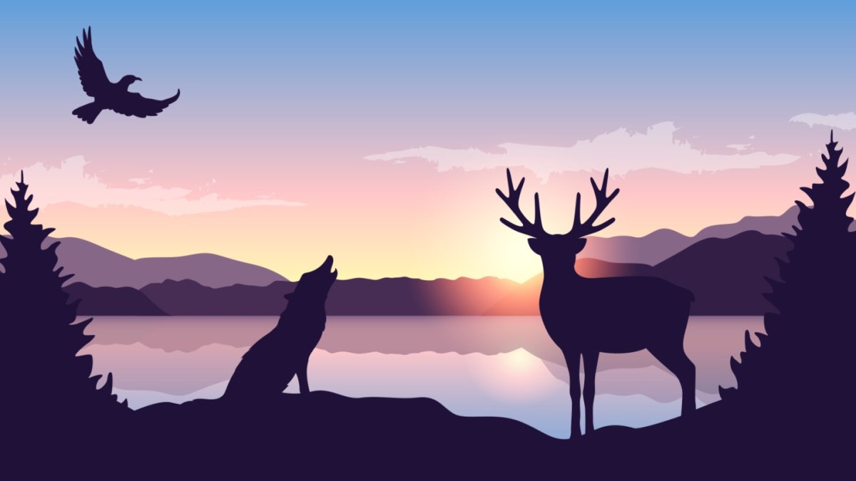 This 'Twilight Safari' is about atmospheric autumn evenings among the animals – NBC 7 San Diego - Vimarsana News
