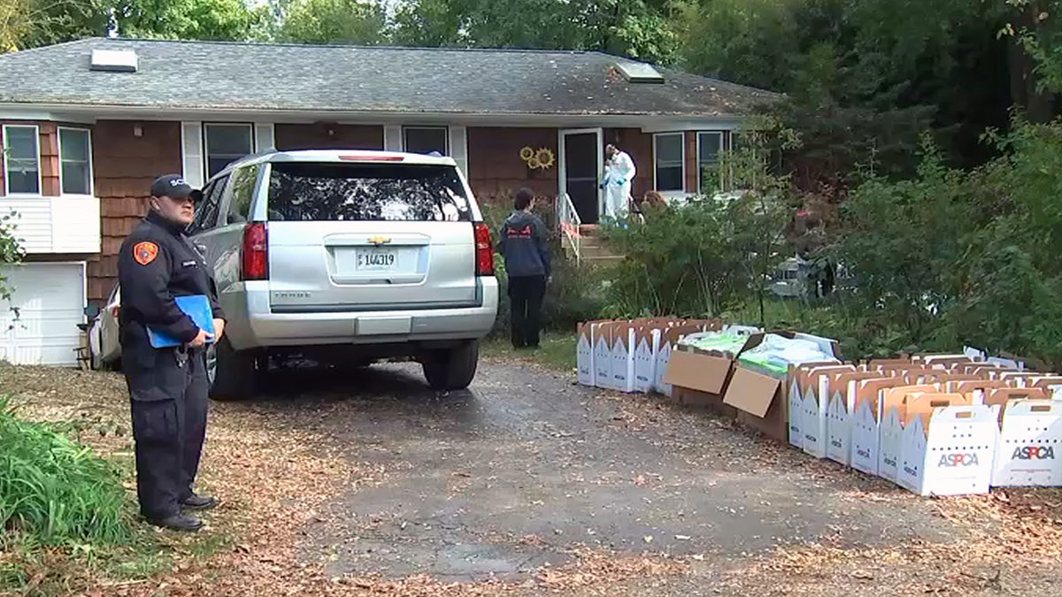 Long Island Animal House: Miller Place Home Overrun, ASPCA Says – NBC 7 San Diego - Vimarsana News