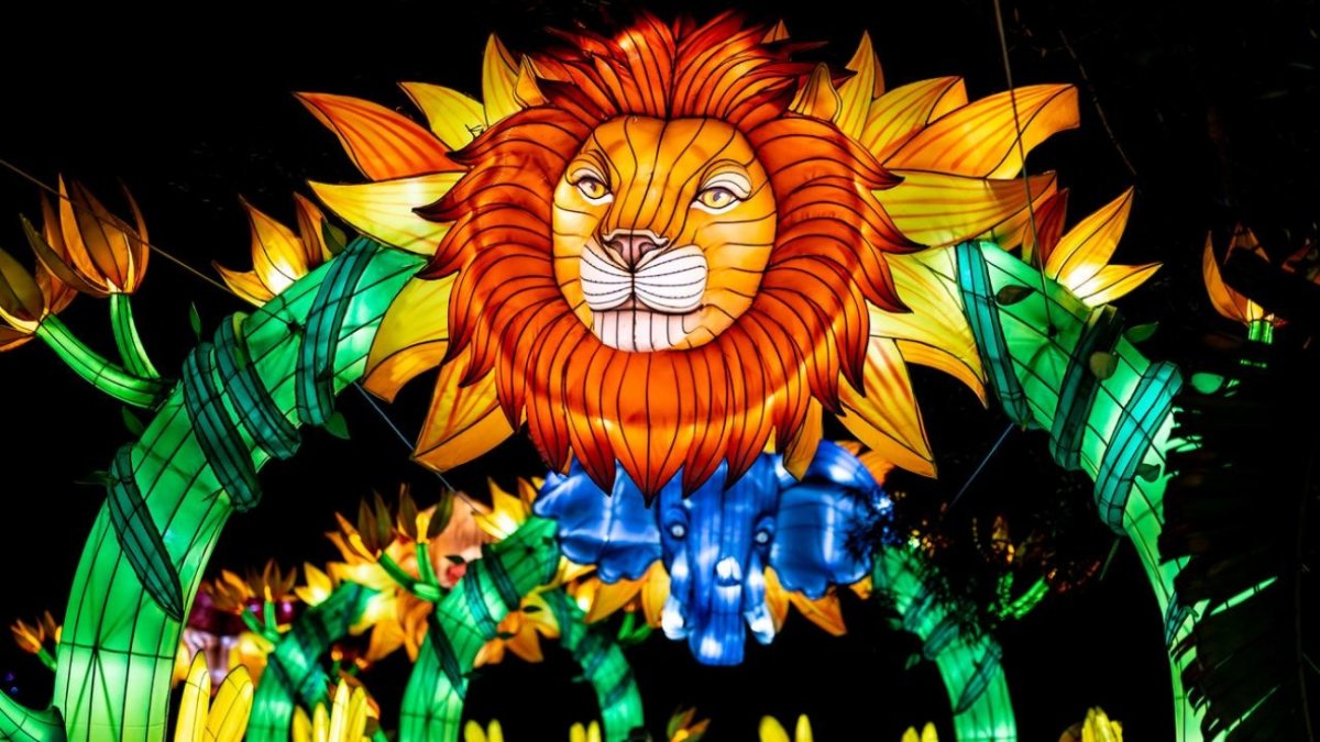 ZooLights to Enjoy Its Inaugural Illumination in Santa Barbara NBC 7