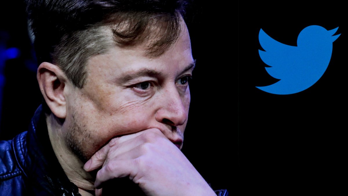 Here's How Twitter and Elon Musk Can Prevent Racist 'Raids' on the Social Network - Vimarsana News
